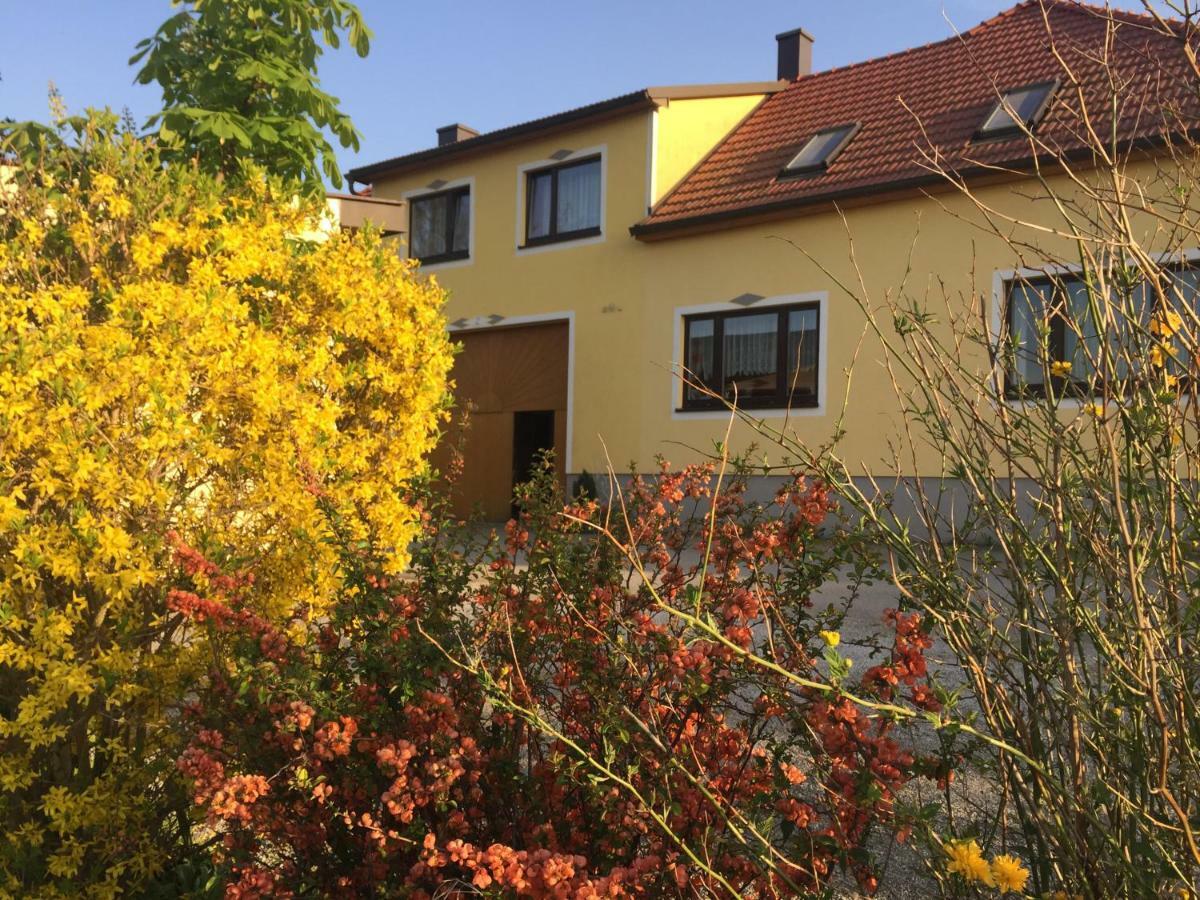 Amstetter'S Ferienwohnung Waldenstein  Buitenkant foto